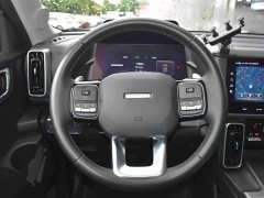 Haval Big Dog 1.5T DCT Border Collie Edition - фото 9