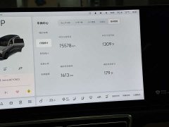 Li Auto Ideal L8 2023 Pro - фото 7