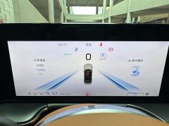 Hongqi H9 facelift 2.0T two-wheel drive Qixiang luxury business version 5 seats - фото 13