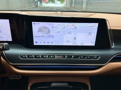 Hongqi H9 facelift 2.0T two-wheel drive Qixiang luxury business version 5 seats - фото 14