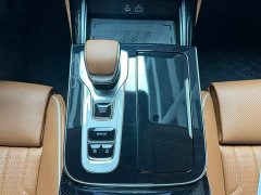 Hongqi H9 facelift 2.0T two-wheel drive Qixiang luxury business version 5 seats - фото 15