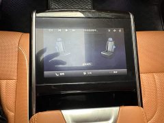 Hongqi H9 facelift 2.0T two-wheel drive Qixiang luxury business version 5 seats - фото 16