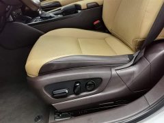 Lexus ES 2020 300h Excellence Edition - фото 20