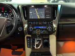 Toyota Wilfa 2020 Shuangqing 2.5L Black Gold Limited Edition - фото 15