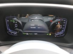 Hongqi HQ9 PHEV 2.0T AWD Business Edition - фото 6