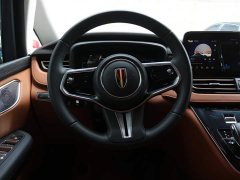 Hongqi HQ9 PHEV 2.0T AWD Business Edition - фото 7