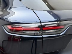 Porsche Cayenne New Energy Cayenne E-Hybrid 2.0T Platinum Edition - фото 10