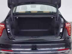 Hongqi H5 2023 2.0T Automatic Zhilianqichang Edition - фото 16