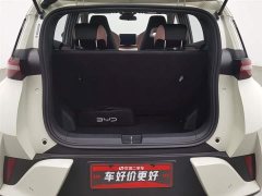 BYD Seagull Smart Driving Edition 305km Vitality Edition - фото 16