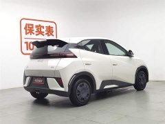 BYD Seagull Smart Driving Edition 305km Vitality Edition - фото 2