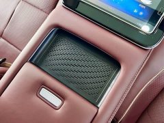 Maybach GLS 480 4MATIC - фото 20