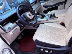 Tank 500 3.0T sports version, environment type, 5 seats - фото 4