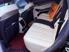 Tank 500 3.0T sports version, environment type, 5 seats - фото 5