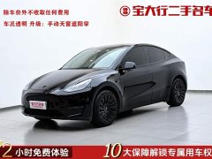 Tesla Model Y 2022 facelift, long-range all-wheel drive version - фото 1