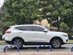 Haval H6 2020 1.5GDIT Automatic Platinum Champion Edition - фото 13