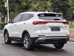 Haval H6 2020 1.5GDIT Automatic Platinum Champion Edition - фото 15