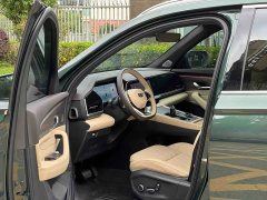 Geely Xingyue L Oriental Glory 2.0TD Automatic AWD Wangyue Edition - фото 4