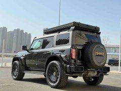 Lexus Mansory Bronco P520 - фото 4