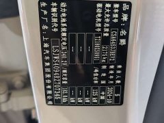 Lexus MG ES5 2025 525max rear drive smart driving version - фото 19