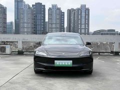 Tesla Model 3 long-range all-wheel drive version - фото 3
