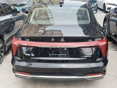 Hongqi H5 2023 1.5T DCT Zhilian Qiyue Edition - фото 10