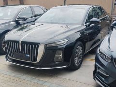 Hongqi H5 2023 1.5T DCT Zhilian Qiyue Edition - фото 2