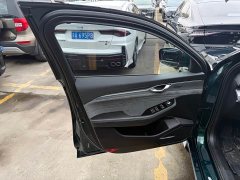 Geely Preface 2.0TD "Only Green" Edition - фото 5