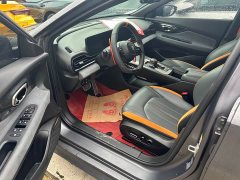Trumpchi Shadow Leopard 270T DCT J16 R-style track version - фото 4