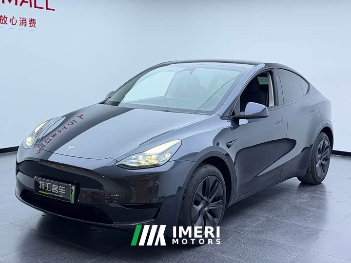 Tesla Model Y rear-wheel drive version - автомобиль из Китая