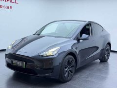 Tesla Model Y rear-wheel drive version - фото 1