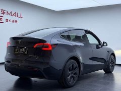 Tesla Model Y rear-wheel drive version - фото 15