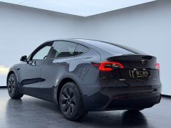 Tesla Model Y rear-wheel drive version - фото 17