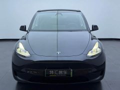 Tesla Model Y rear-wheel drive version - фото 2