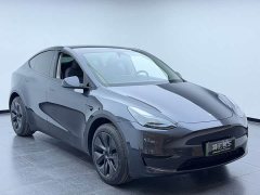 Tesla Model Y rear-wheel drive version - фото 3