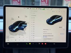 Tesla Model Y rear-wheel drive version - фото 9