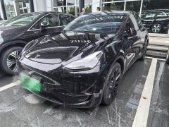 Tesla Model Y standard range rear-wheel drive version - фото 9