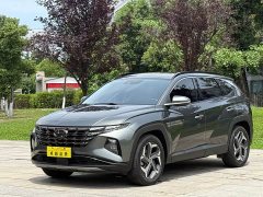 Lexus Tucson 2023 Tucson L 1.5T automatic two-wheel drive LUX premium version - фото 1