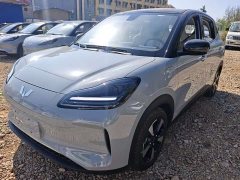Wuling Bingo PLUS 2024 510km five-seater version - фото 1