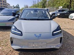 Wuling Bingo PLUS 2024 510km five-seater version - фото 2