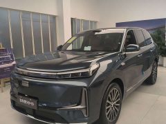 Geely Galaxy M9 210km 4WD Black Gold Smart Edition - фото 12