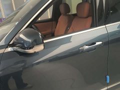 Geely Galaxy M9 210km 4WD Black Gold Smart Edition - фото 6