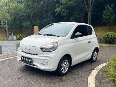 BYD CLEVER 2022 311km Yuanqi Bobo Edition - фото 1