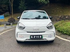 BYD CLEVER 2022 311km Yuanqi Bobo Edition - фото 2