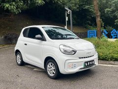 BYD CLEVER 2022 311km Yuanqi Bobo Edition - фото 3