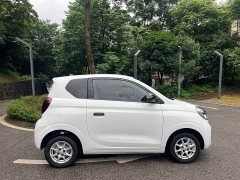 BYD CLEVER 2022 311km Yuanqi Bobo Edition - фото 8