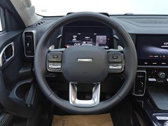 Haval Big Dog 2021 1.5T DCT two-wheel drive Border Collie version - фото 15