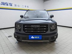 Haval Big Dog 2021 1.5T DCT two-wheel drive Border Collie version - фото 2