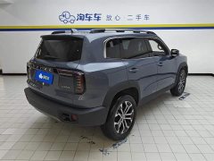 Haval Big Dog 2021 1.5T DCT two-wheel drive Border Collie version - фото 3