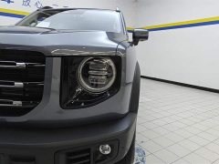 Haval Big Dog 2021 1.5T DCT two-wheel drive Border Collie version - фото 5