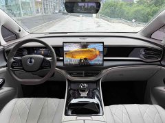 Denza D9 DM-i 980 four-wheel drive flagship - фото 16